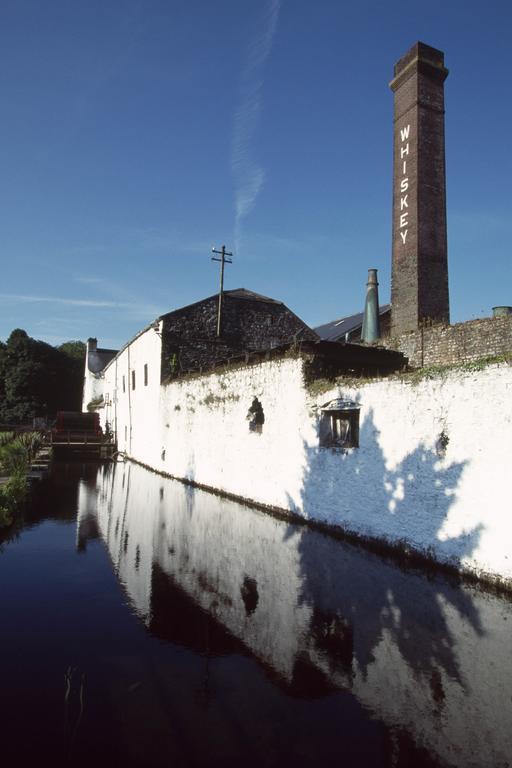 Fort House Bed & Breakfast Kilbeggan Bagian luar foto