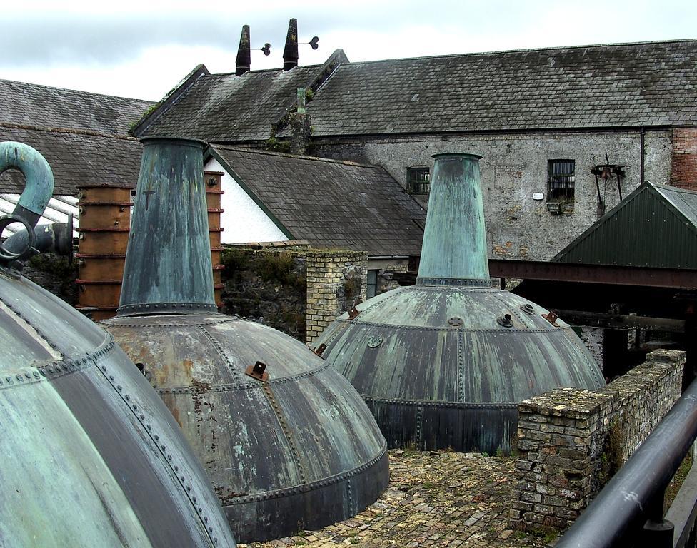 Fort House Bed & Breakfast Kilbeggan Bagian luar foto