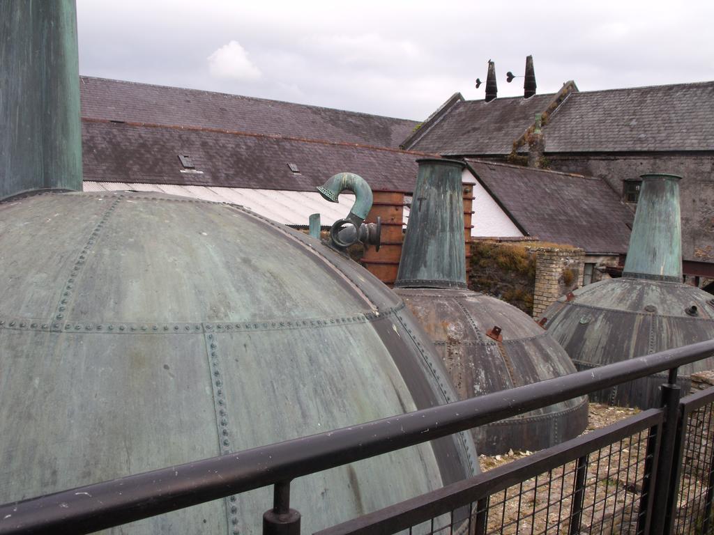 Fort House Bed & Breakfast Kilbeggan Bagian luar foto